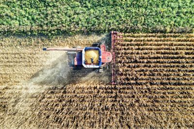 Health Crop from Smart Agriculture Tools IoT integration