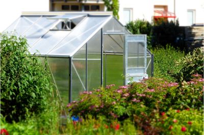 Beginners Guide to Starting an Urban Smart Greenhouse