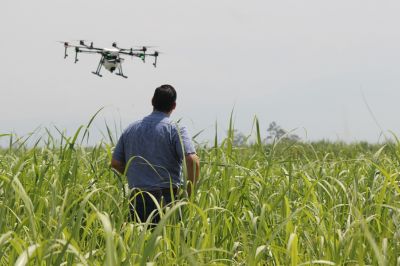 AgriDrone Airborne Analysis: Precision Aerial Views for Successful Crop Management
