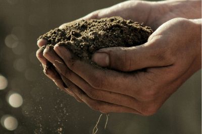 IoT Water Smart Farming Management Through AquaSpy Devices