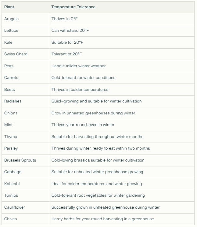 Plants that thrive in winter