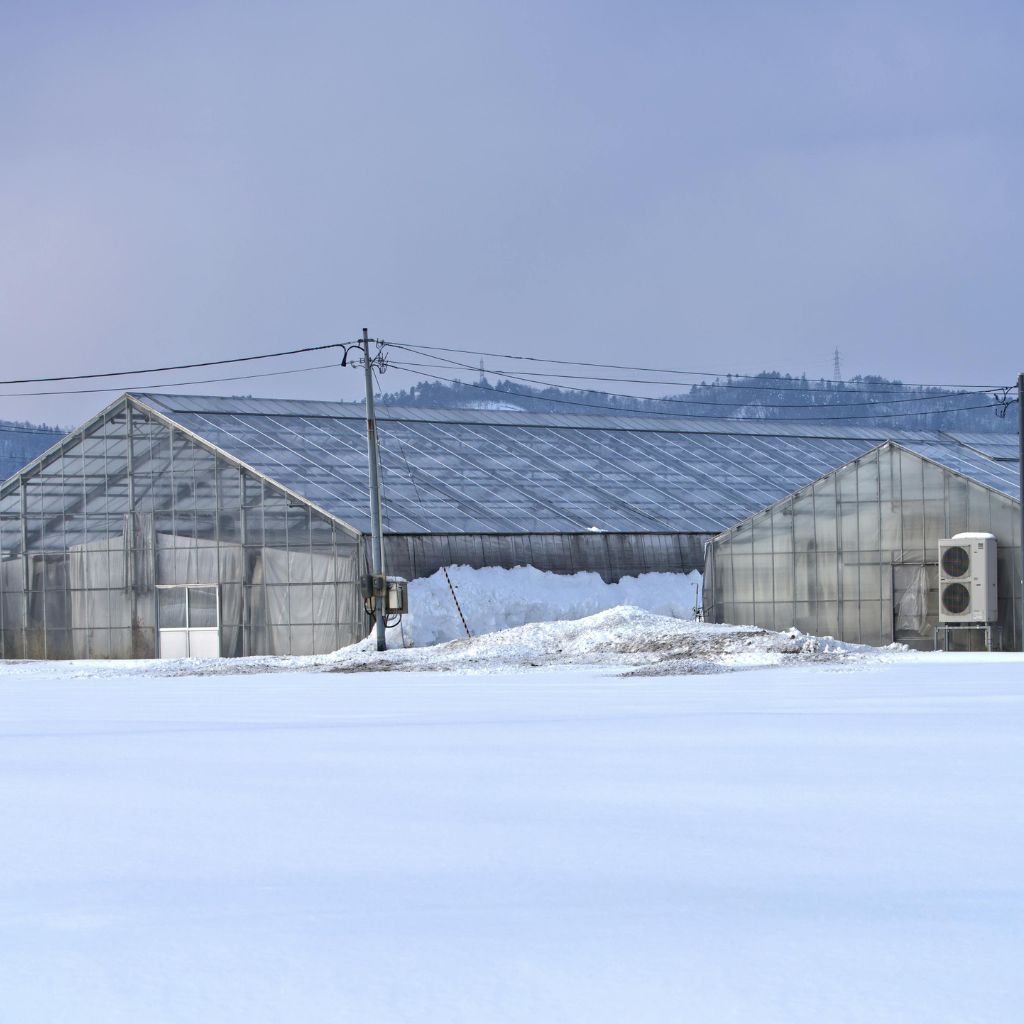 Winter Greenhouse Temperature Control in Snow