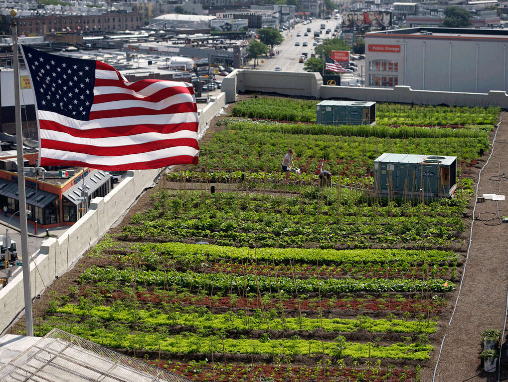 Urban Agriculture USA